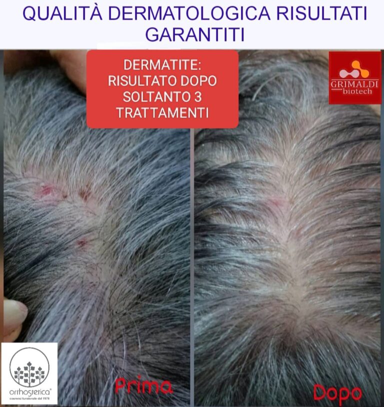 whatsapp image 2025 08 30 at 11.13